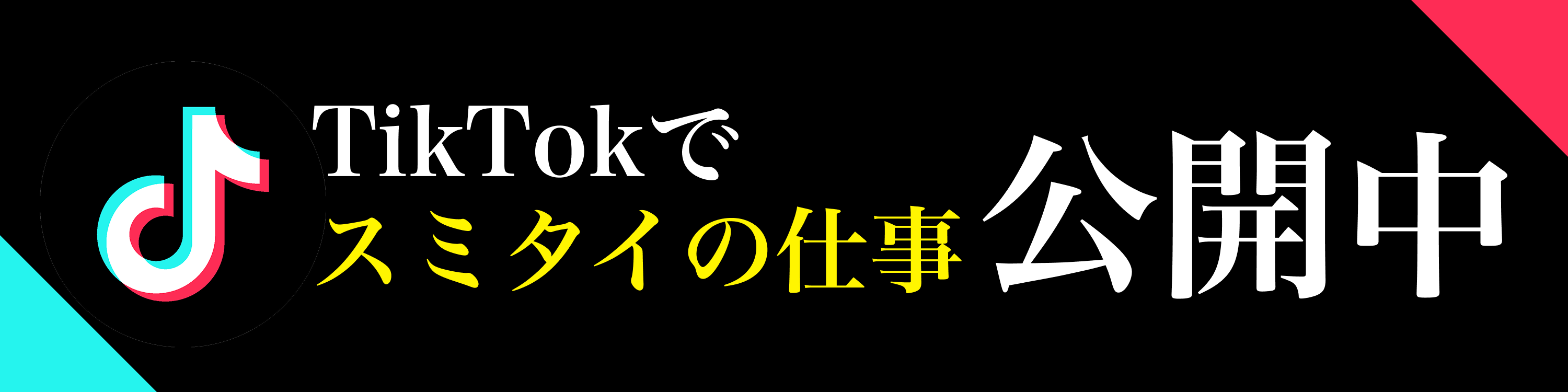 TikTokでスミタイの仕事公開中